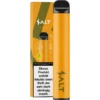 SALT Switch Ice Mango 20 Mg/ml Vape -Tabak Welt Geschäft SALT Combo Mango ice Nic
