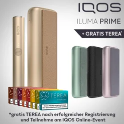 IQOS Iluma Prime Golden Khaki (gold)